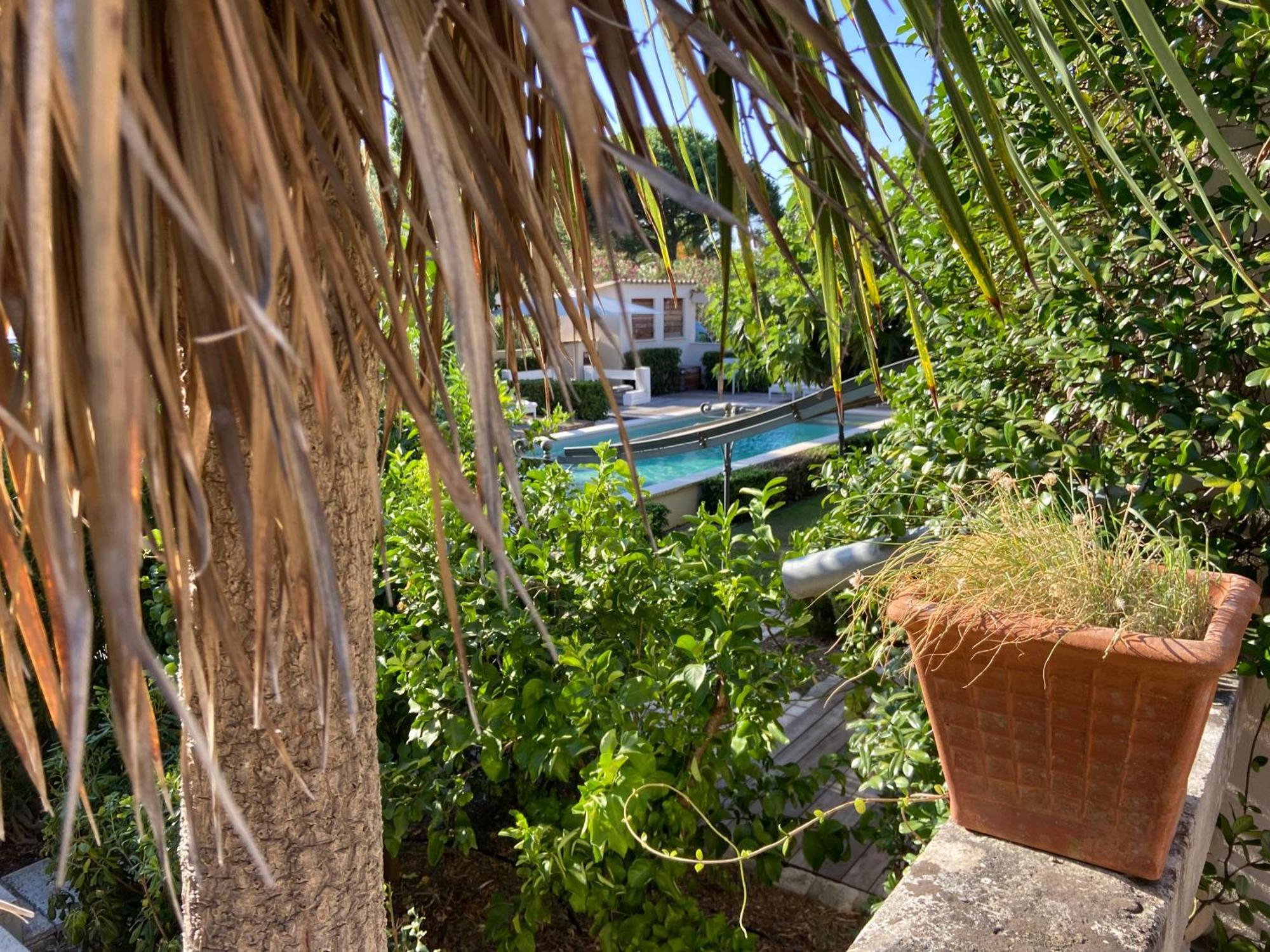 Double Room Balcony Pool View 2 20 sqm